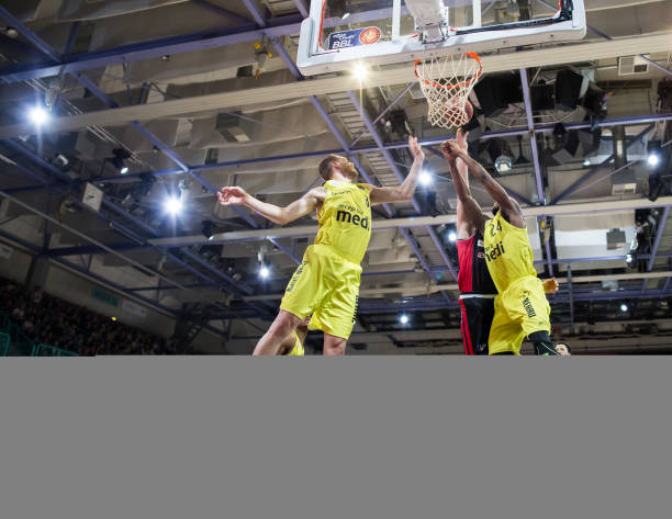 拉菲尼亚在 拉菲尼亚在